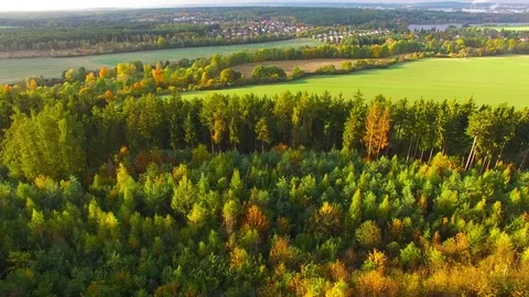 Camera flight over Radbuza river. Video stock 71947810