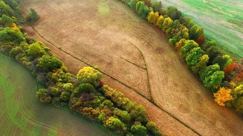 Camera flight over Radbuza river. Stock Footage 71948309