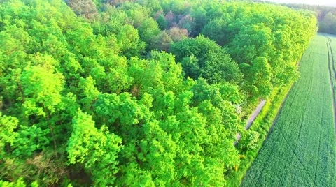 Camera flight over rural landscape. Видео 63411689