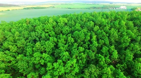 Camera flight over rural landscape. 스톡 동영상 63412384