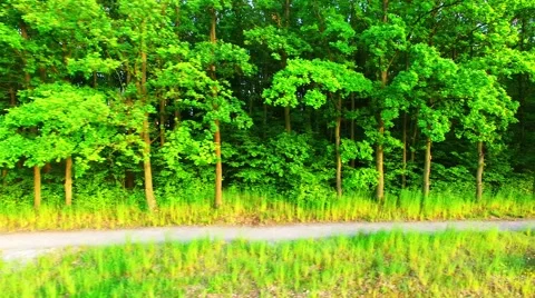 Camera flight over rural landscape. 스톡 동영상 63413201