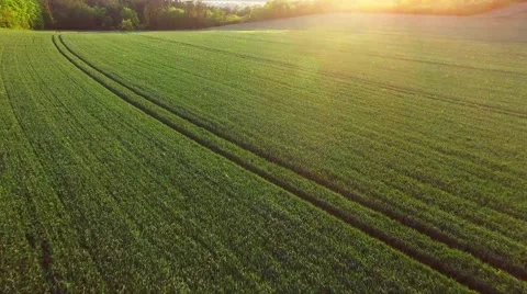 Camera flight over rural landscape. 스톡 동영상 63413833