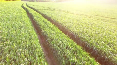 Camera flight over rural landscape. Stock Footage 63416459