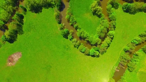 Camera flight over rural landscape. Video stock 75894919
