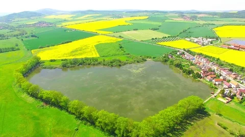 Camera flight over rural landscape. Video stock 75905803