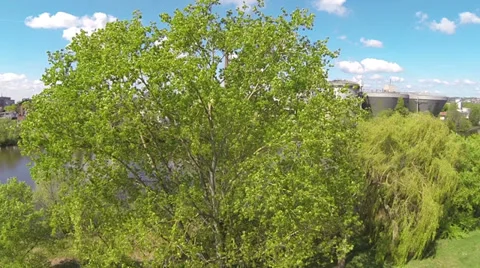 Camera flight over trees with view of the industrial area Stock Footage 37525843