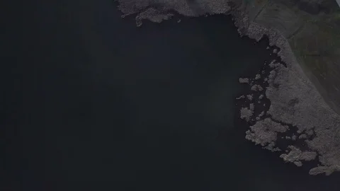 Camera flight top down view on the lake Stock Footage 89764747