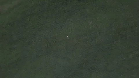 Camera flight zoom in top down view above the girl on the green lawn Stock Footage 89745541