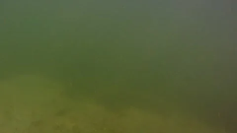 The camera floats underwater. Vídeos de archivo 159095938