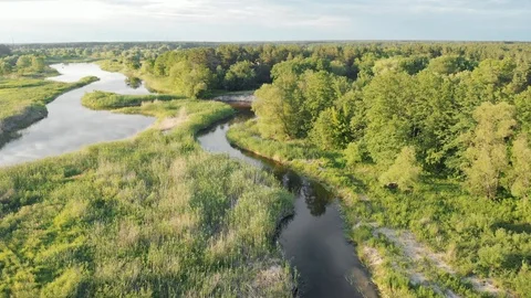 Camera fly over green field forest and river Stock Footage 118160897
