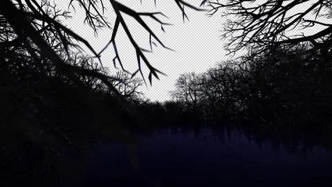 Camera fly through dark horror forest with space for text or logo, Alpha Channel Stock Footage 255769111
