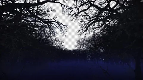 Camera fly through dark spooky forest, space for text or logo, Alpha Channel Stock Footage 303918416
