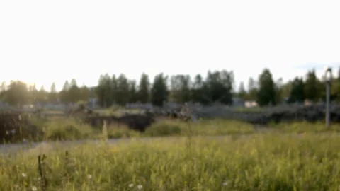 Camera fly through the fresh green grass b roll slow motion Stockbeeldmateriaal 111971536