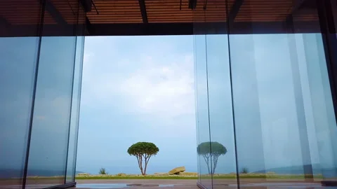 Camera Fly Through the Glass Walls on a Lonely Tree Standing on the Background Stock Footage 97188593
