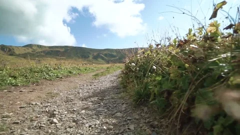 Camera fly through hikers track near grass in sunny spring nature Stockbeeldmateriaal 121860121