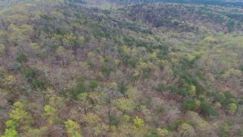 Camera flying forward over wilderness Stock Footage 129062918