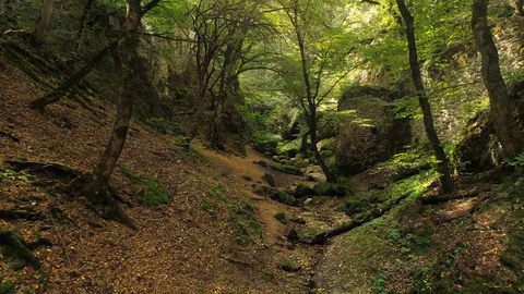 Camera flying inside the canyon with mysterious green forest and fortress Stock Footage 100049944