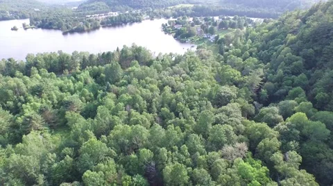 Camera flying over a beautiful lake, forest and cottages. 動画素材 52081187