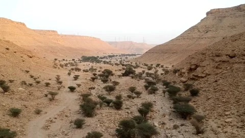 Camera flying over a canyon in Dirab near Riyadh, Saudi Arabia Stock Footage 152698541