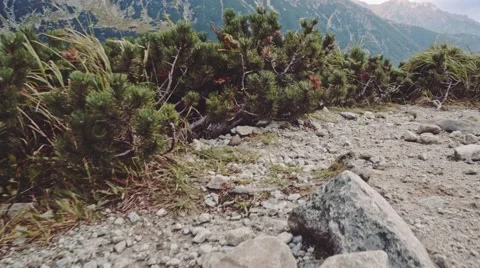 Camera flying over the edge of cliff to the mountain lake view, Stabilized POV. 스톡 동영상 55871249