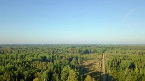Camera flying over the forest Stock Footage