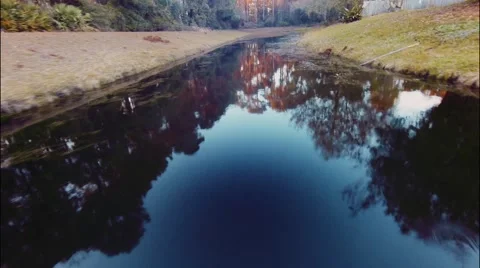 Camera flying over a fresh water lake in the forest. Video stock 47218096