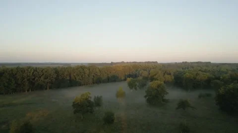 Camera flying over a misty forest at dawn revealing a beautiful green landscape Stock Footage 293158619