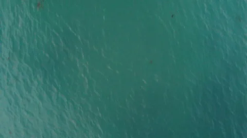 Camera flying over the ocean water to beach cliffs at sunset time Stock Footage 88062968