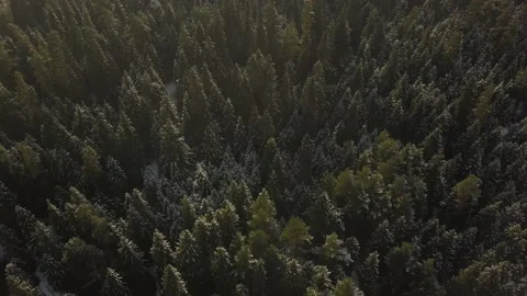Camera flying over snowy forest and a river in mountains. Late afternoon.  Stock Footage 147632493