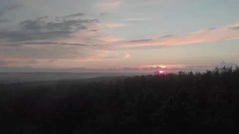 Camera flying over the trees towards sunset 4K Video stock 201941054