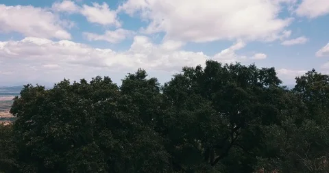 Camera flying toward large christian cross staying on hill Stock Footage 92318445