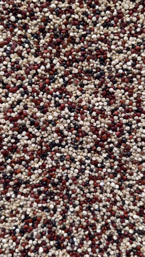 Camera flyover above raw chia seeds macro texture. Vertical Stock Footage 336506966