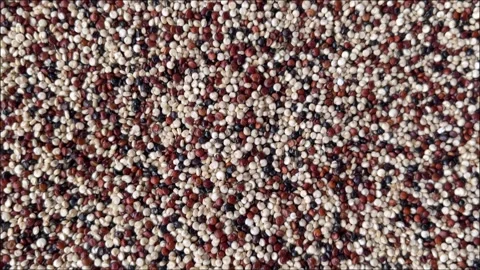Camera flyover above raw chia seeds macro texture. Horizontal Stock-Footage 336506967