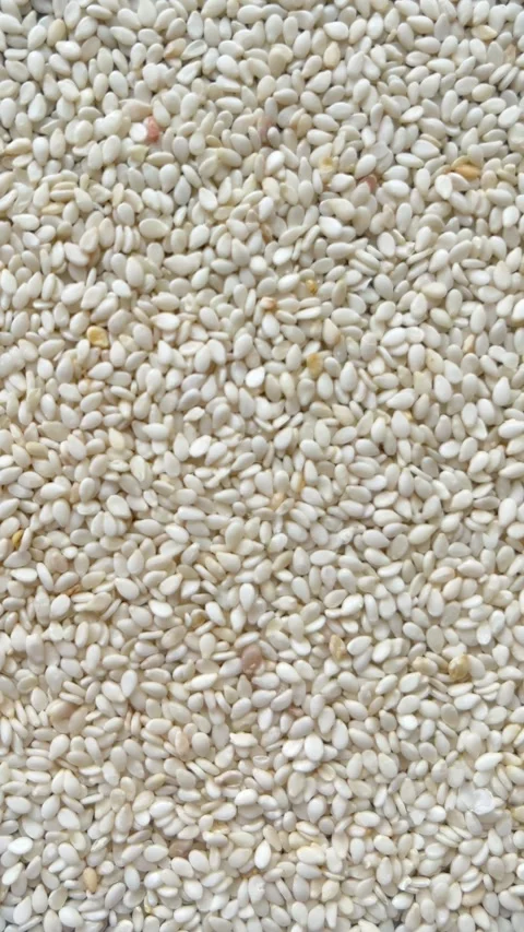Camera flyover above raw white sesame seeds macro texture Stock-Footage 336506978