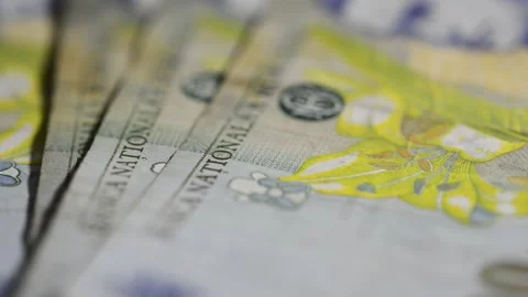 Camera focus passing through old romanian 1000 Lei bills Stock Footage 170606081