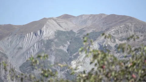Camera Focus Shift from Tree to Mountain Video stock 317889863