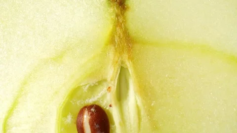 The camera focuses on the half green apple. Macro footage Stock Footage 244059810