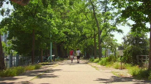 Camera focusing on people walking through Paris Promenade, France during Stock Footage 162527458