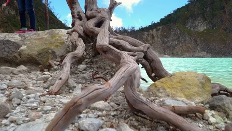 Camera follow a dead tree next to a white volcano lake in a crater in Java Stock Footage 122661643