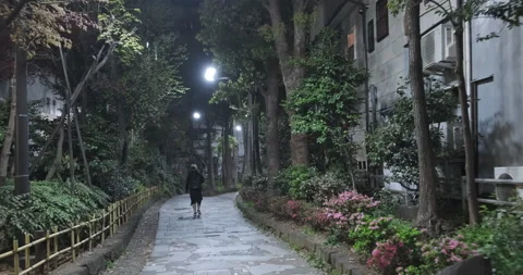 Camera follow man walking alone night street in city garden, Tokyo, Japan, slow Stock Footage 136288165