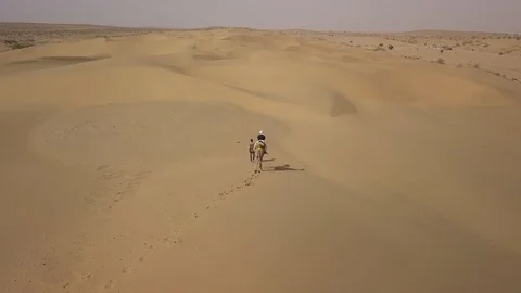 Camera following Camel in Thar Desert, India Stock Footage 94597010