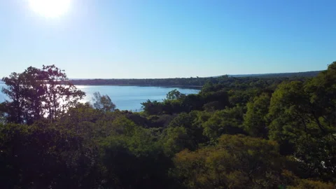 The camera following the trees from the bottom and rising and the lake appears Stock Footage 155992765