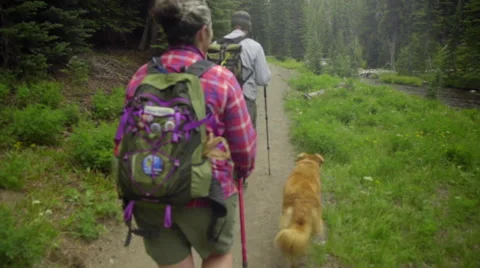 Camera follows behind hikers Stock Footage 59084014
