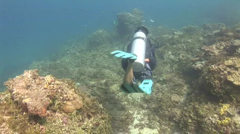 Camera follows a diver diving through a tropical coral reef Stock Footage 574364