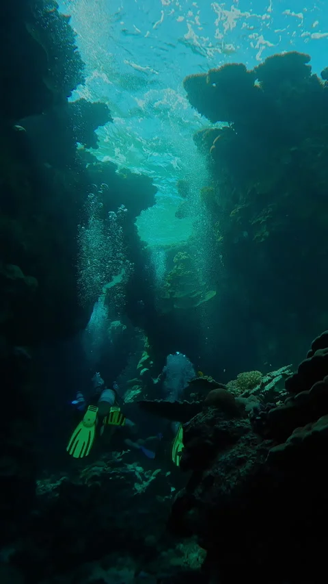 Camera follows a group of scuba divers as they swims inside crevice between Stock Footage 331802534