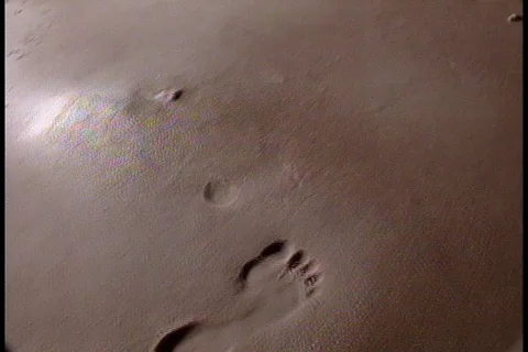 Camera follows human footprints as they materialize in wet sand. Stock Footage 86752382