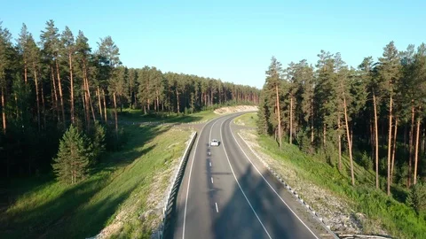 The camera follows the road between the pine forest. 스톡 동영상 112097058