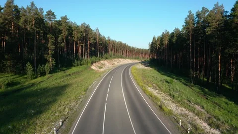 The camera follows the road between the pine forest. Vidéo 112097133