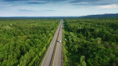 The camera follows the road between the trees. 스톡 동영상 111584879