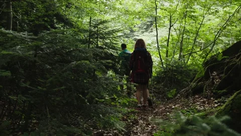 Camera follows team walking through dark forest down the slope. Rest and Stock Footage 208889668